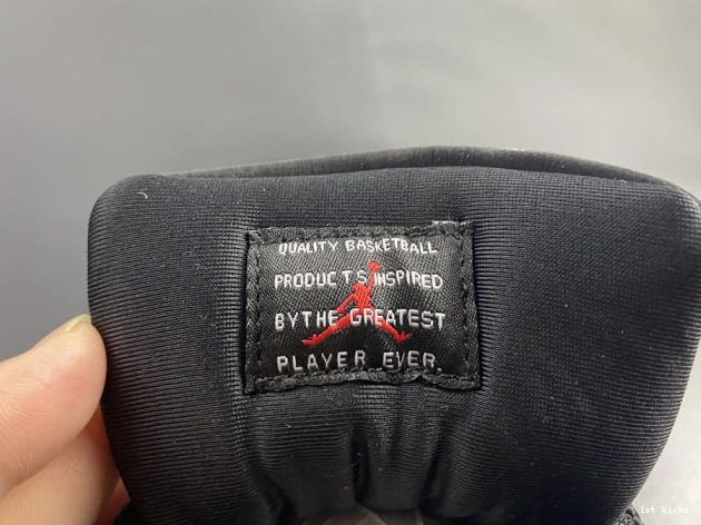1st Kicks AIR ANIMAL AR0715-010 INSTINCT 11 JORDAN 0714